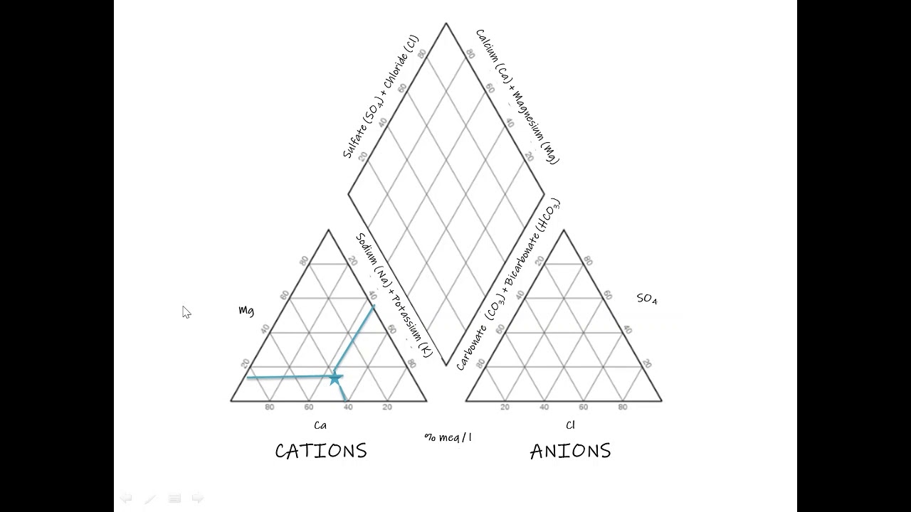 What Is A Piper Diagram And How To Create One 